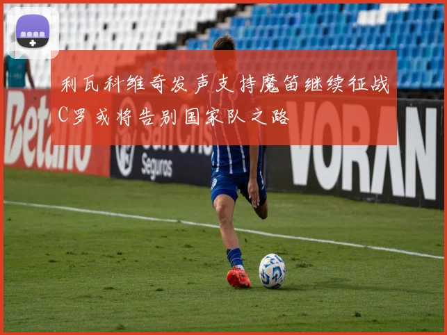 利瓦科维奇发声支持魔笛继续征战C罗或将告别国家队之路
