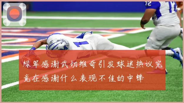 绿军感谢武切维奇引发球迷热议究竟在感谢什么表现不佳的中锋